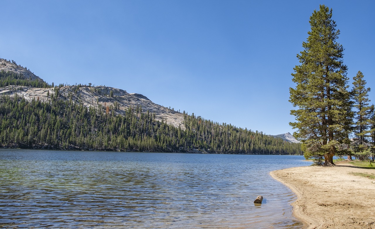 Exploring the Scenic Trails of Yosemite National Park